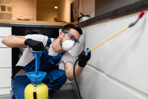 Best Wasp Removal Services  in Champaign, IL