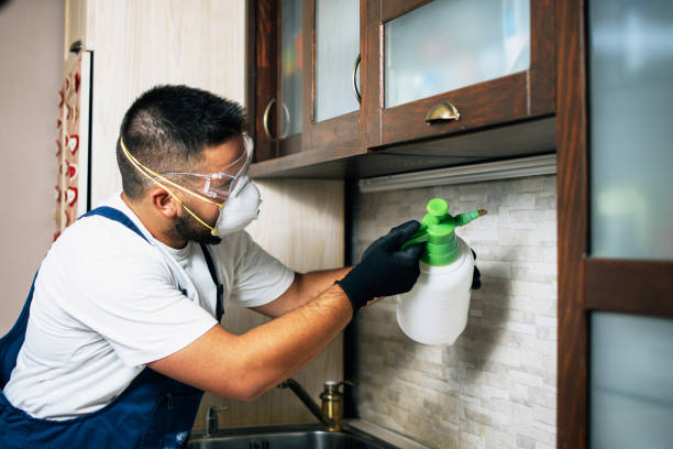 Best Local Pest Control Services  in Champaign, IL
