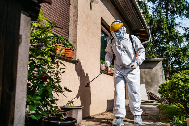 Best Bed Bug Extermination  in Champaign, IL