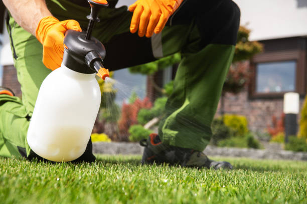 Best Pest Removal Services  in Champaign, IL