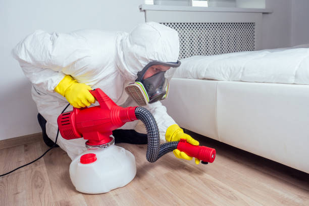 Best Pest Control for Homes  in Champaign, IL