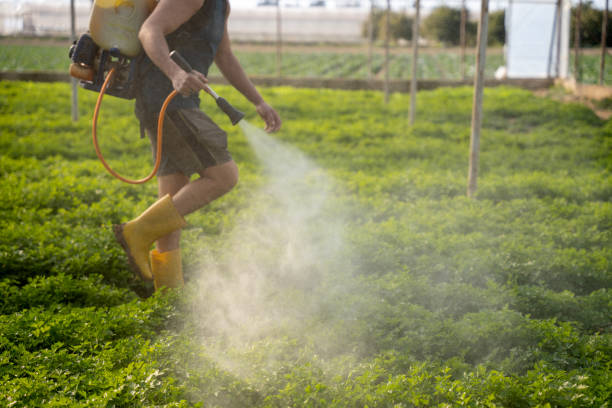 Best Pest Control for Businesses  in Champaign, IL
