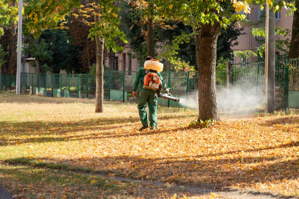 Best Spider Control Near Me  in Champaign, IL